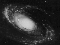 M81