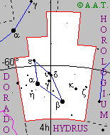 Reticulum