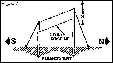 Figura 5