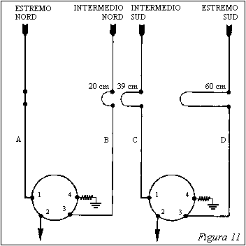 Figura 11